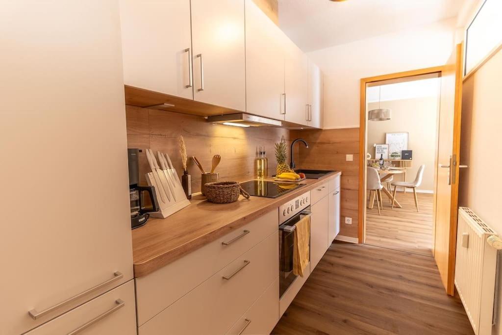 Innenstadt Appartement *Garten* Dresden Dış mekan fotoğraf